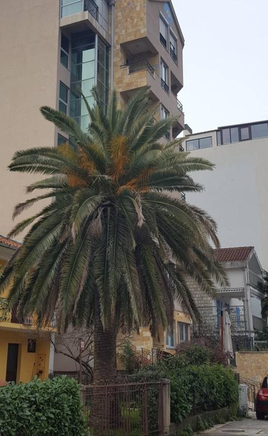 Apartman Centar Lux Budua Esterno foto